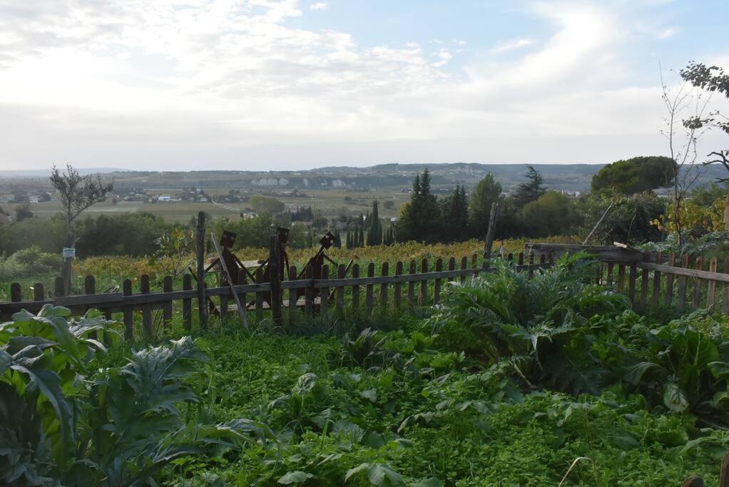 La Petite Maison Des Artistes Séguret Extérieur photo