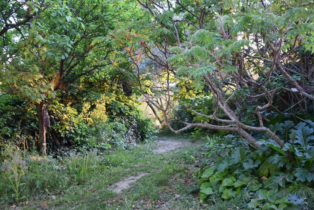 La Petite Maison Des Artistes Séguret Extérieur photo