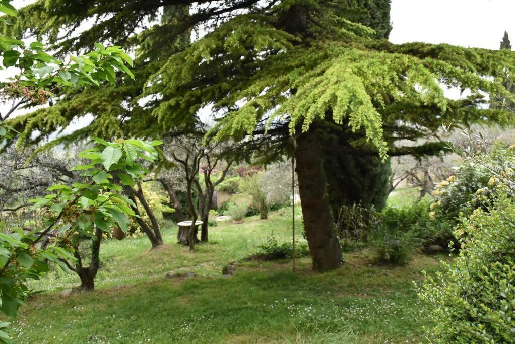 La Petite Maison Des Artistes Séguret Extérieur photo